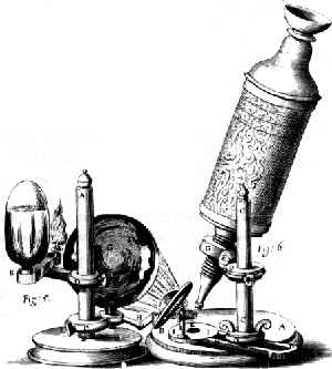 Le microscope de Hooke