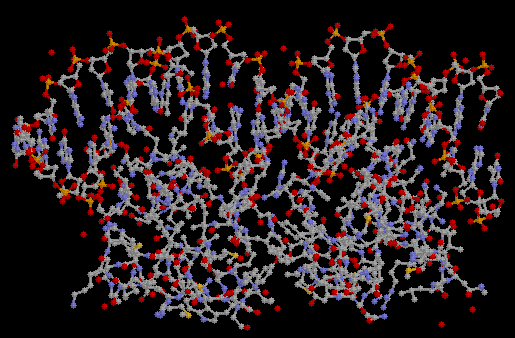 proteine.gif (12102 octets)