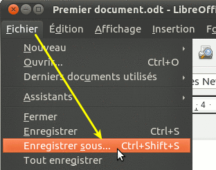 Enregistrer sous...
