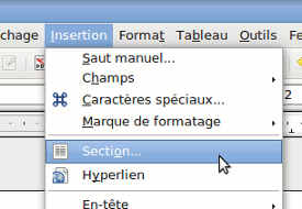 Insérer > Section